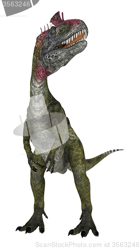 Image of Dinosaur Cryolophosaurus