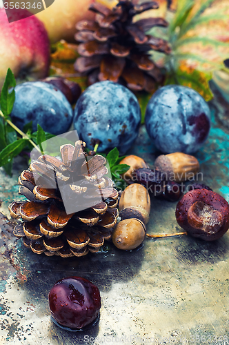 Image of Autumn still life