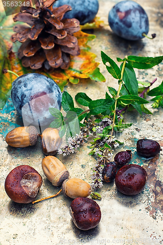 Image of Autumn still life