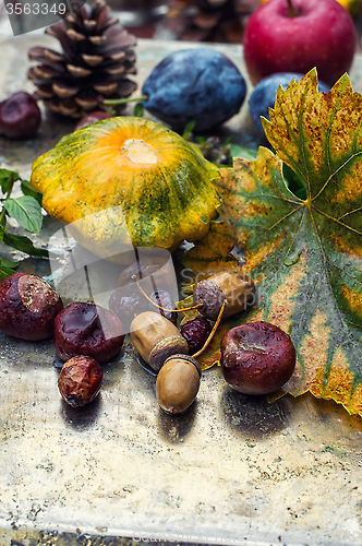 Image of Autumn still life