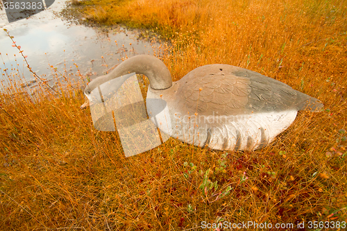 Image of hunting on a bog  with goose profile