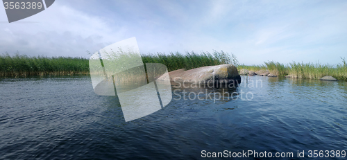 Image of panorama of lake with reeds