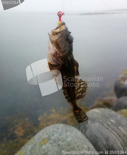 Image of sea fishing the Arctic circle