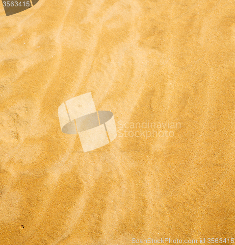 Image of the brown sand dune in the sahara morocco desert 