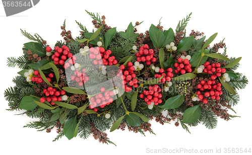 Image of Holly and Mistletoe Flora