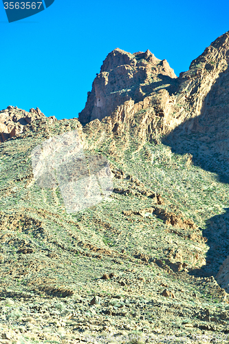 Image of brown bush  in    valley  morocco     the atlas dry mountain  