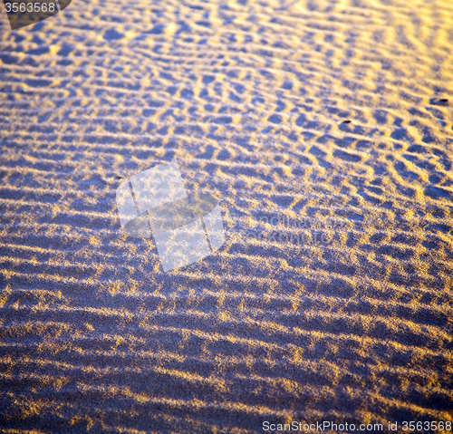 Image of africa the brown sand dune in   sahara morocco desert line