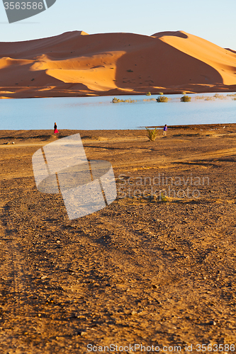 Image of sunshine in the lake yellow   morocco      dune