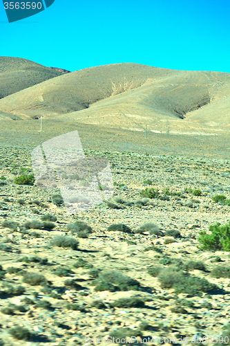 Image of brown bush  in    valley  morocco     africa the 