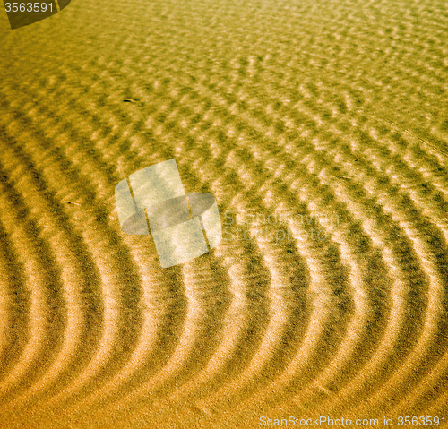 Image of africa the brown sand dune in   sahara morocco desert line