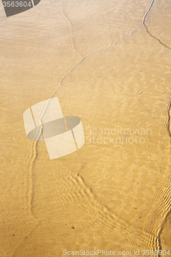 Image of morocco in africa brown coastline wet sand beach 