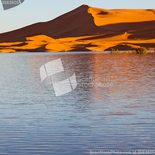 Image of sunshine in the lake yellow  desert of morocco sand and     dune