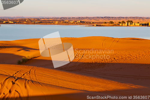 Image of sunshine in the lake yellow   