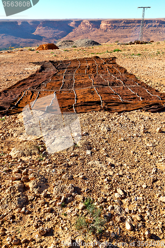 Image of carpet  in   valley  morocco   atlas dry mountain utility pole 