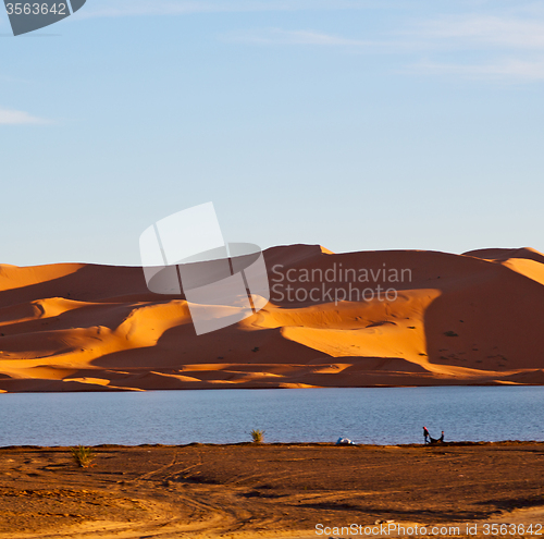 Image of sunshine in the lake yellow  desert of morocco sand and     dune