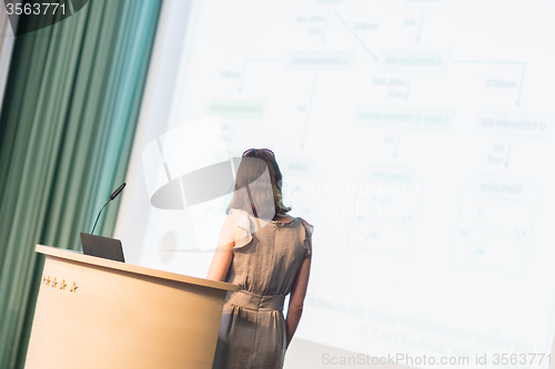 Image of Business woman making business presentation.