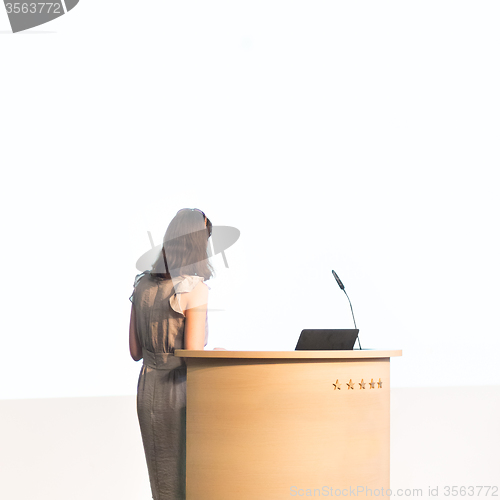 Image of Business woman making business presentation.