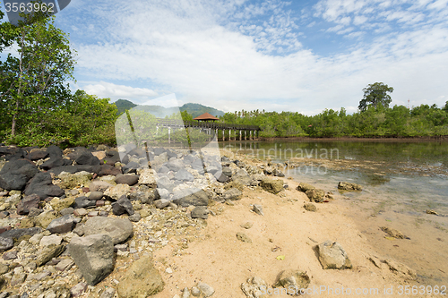 Image of Indonesian landscape with mangrove and view point walkway