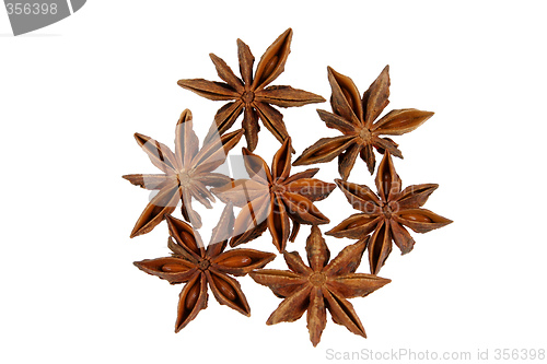 Image of Anise