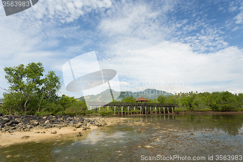 Image of Indonesian landscape with mangrove and view point walkway