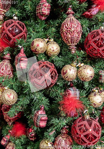 Image of Christmas tree detail