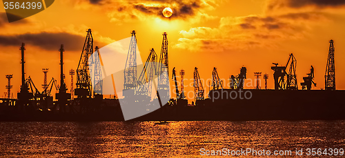 Image of Cranes