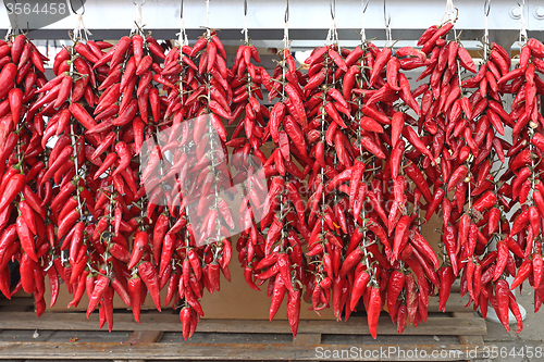 Image of Chili Peppers