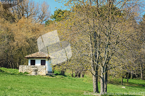 Image of Spring