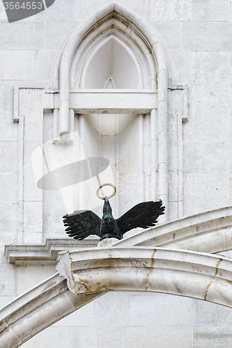 Image of Bird with Ring