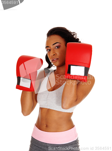 Image of Athletic woman wearing boxing gloves.