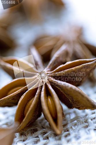 Image of anise seeds