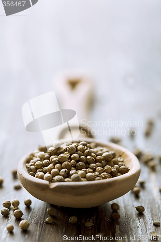 Image of coriander seeds