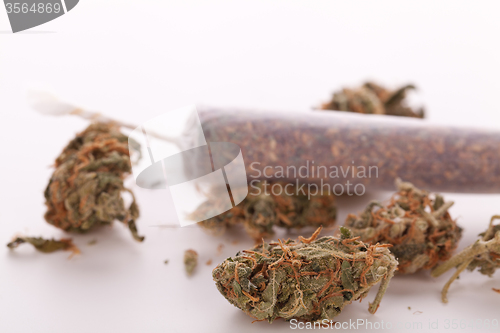 Image of Close up of dried marijuana leaves and joint