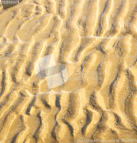 Image of dune morocco in africa brown coastline wet sand beach near atlan