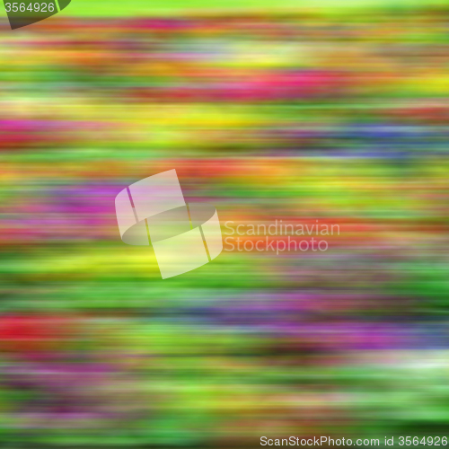 Image of purple in london yellow flower field nature and spring