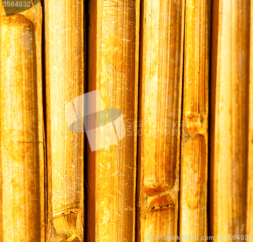 Image of  cross bamboo  kho phangan bay   and south  