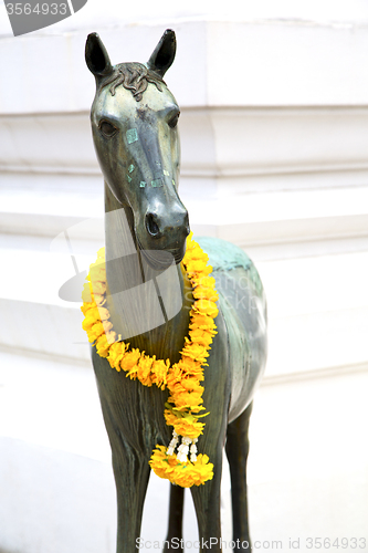 Image of horse  in the temple bangkok asia  yellow