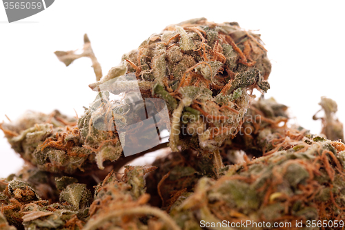 Image of Close up Dried Marijuana Leaves on the Table