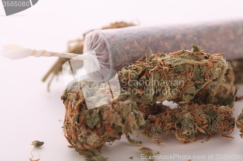 Image of Close up of dried marijuana leaves and joint