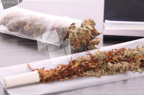 Image of Dried Cannabis on Rolling Paper with Filter