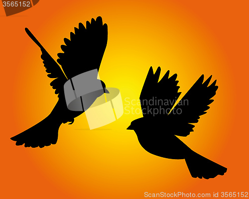 Image of two flying birds