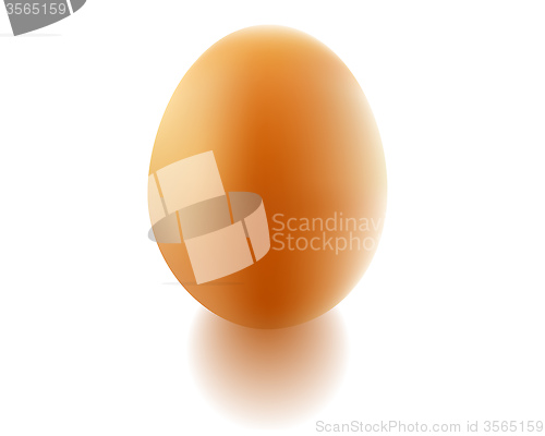 Image of chicken egg