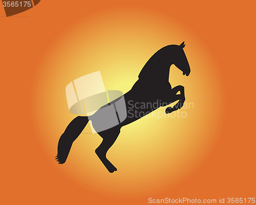 Image of horse