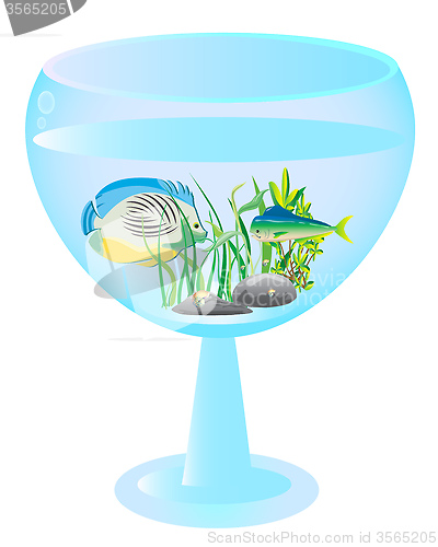 Image of tall wine glass aquarium with fishes