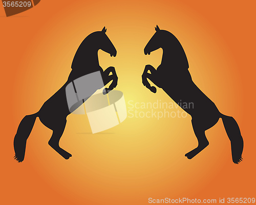 Image of two horses