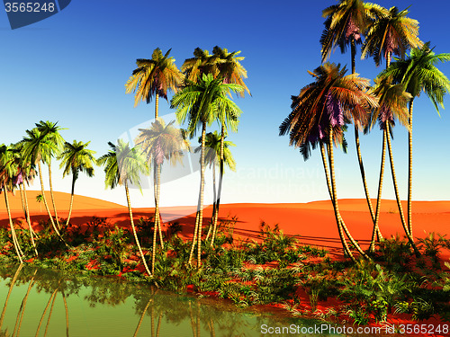 Image of African oasis by the end of the day