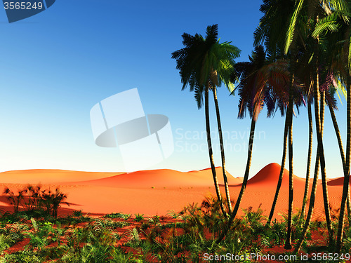 Image of African oasis by the end of the day