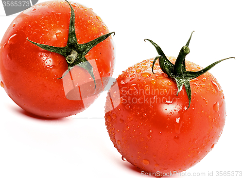 Image of Tomatoes with Droplets