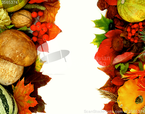 Image of Autumn Harvest Frames