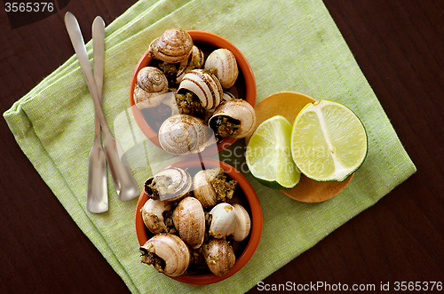 Image of Snails with Garlic Butter